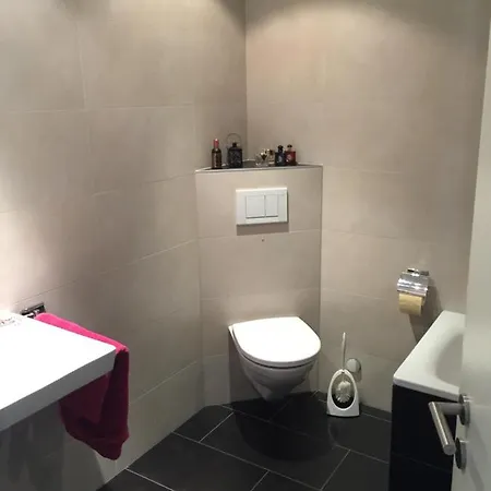 Mountain View 布里格